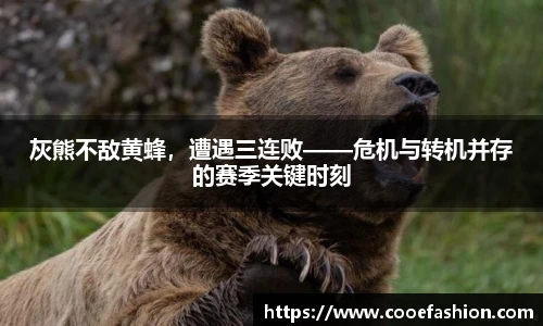 yy易游