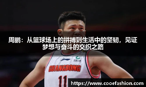 yy易游体育网址