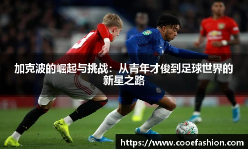 yy易游体育网址
